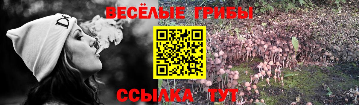 Псилоцибиновые грибы мухоморы Трёхгорный