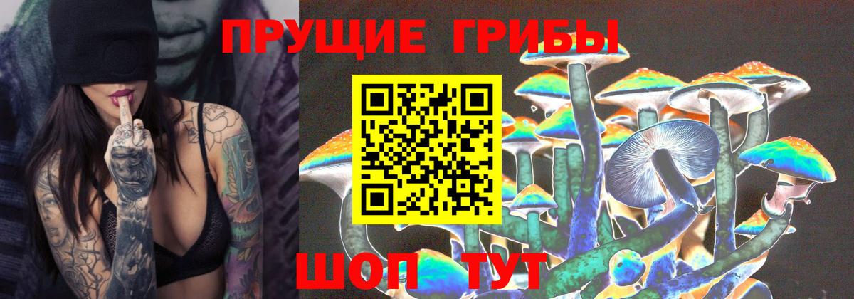 Псилоцибиновые грибы Psilocybe  Вход с VPN  Псилоцибиновые грибы Magic Shrooms  Трёхгорный 